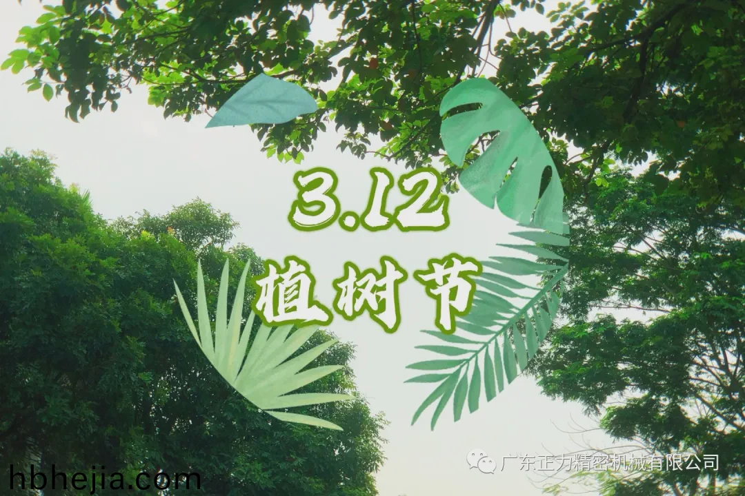 “3.12植樹節”——全(quan)民義務植樹40週年
